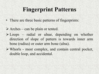 Fingerprint Patterns
• There are three basic patterns of fingerprints:
 Arches – can be plain or tented.
 Loops – radial or ulnar, depending on whether
direction of slope of pattern is towards inner arm
bone (radius) or outer arm bone (ulna).
 Whorls - most complex, and contain central pocket,
double loop, and accidental.
 
