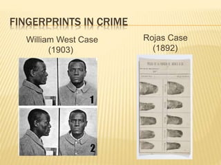 FINGERPRINTS IN CRIME
William West Case
(1903)
Rojas Case
(1892)
 