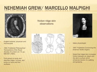 NEHEMIAH GREW/ MARCELLO MALPIGHI
 English botanist, physician and
microscopist
 1684: Published Philosophical
Transactions of the Royal
Society of London vol. 14, pp.
566-567 (1684).
 First person to study and
describe ridges, furrows, and
pores on hand and foot
surfaces.
 Italian physiologist
 1687: Published Concerning the
External Tactile Organs
 Noted that ridged skin increases
friction between an object and
the skin’s surface which
enhances traction for walking
and grasping
friction ridge skin
observations
 