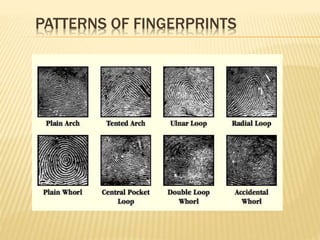 PATTERNS OF FINGERPRINTS
 