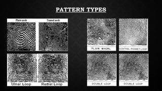 Fingerprint - Everything You Need To Know About Fingerprints | PPTX