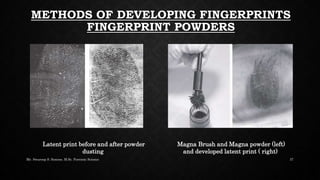 Fingerprint - Everything You Need To Know About Fingerprints | PPTX