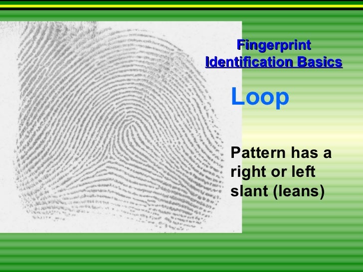 Fingerprints basics for scouts
