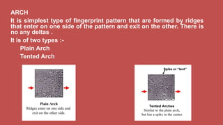 Fingerprint science | PPTX