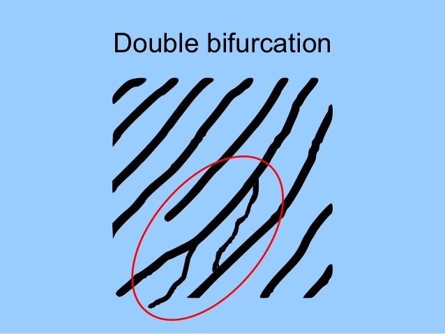 Fingerprint development and Ridge Characteristics