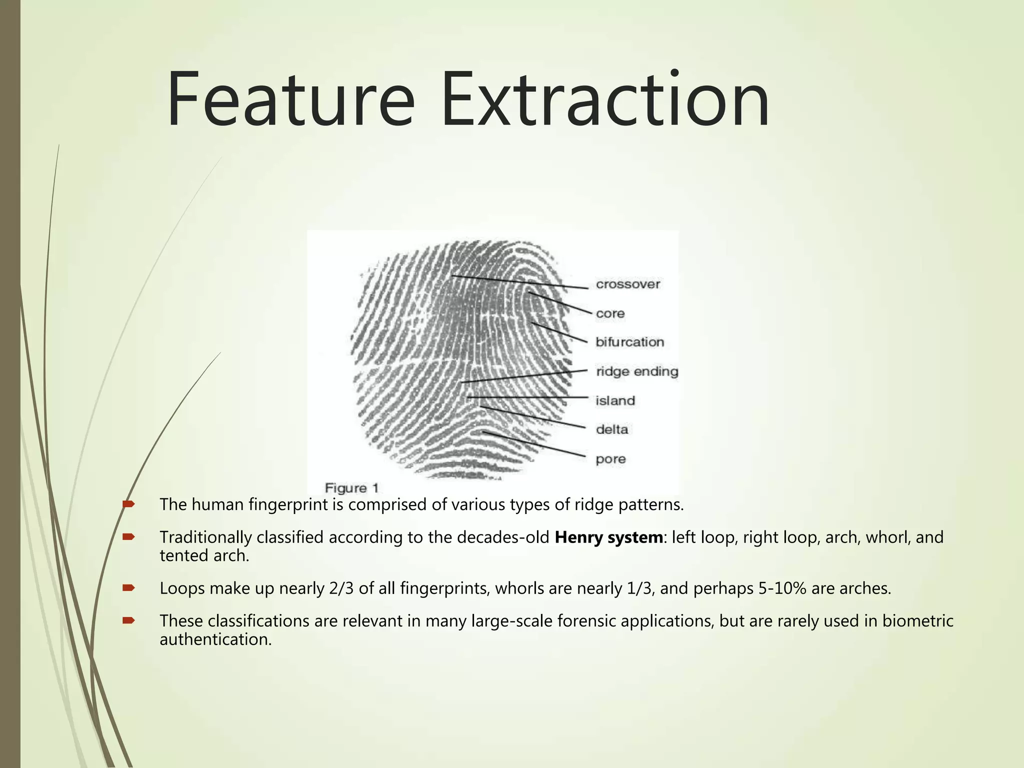 Feature Extraction
 The human fingerprint is comprised of various types of ridge patterns.
 Traditionally classified according to the decades-old Henry system: left loop, right loop, arch, whorl, and
tented arch.
 Loops make up nearly 2/3 of all fingerprints, whorls are nearly 1/3, and perhaps 5-10% are arches.
 These classifications are relevant in many large-scale forensic applications, but are rarely used in biometric
authentication.
 