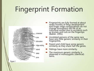 Fingerprint Recognition | PPT