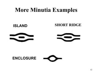 Core Minutiae Example Introduction to Fingerprints | PPTX