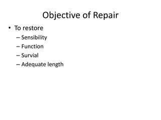 Objective of Repair
• To restore
– Sensibility
– Function
– Survial
– Adequate length
 