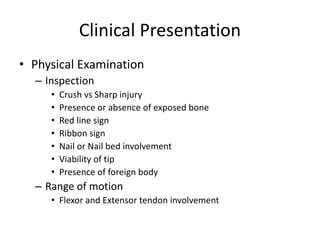 Clinical Presentation
• Physical Examination
– Inspection
• Crush vs Sharp injury
• Presence or absence of exposed bone
• Red line sign
• Ribbon sign
• Nail or Nail bed involvement
• Viability of tip
• Presence of foreign body
– Range of motion
• Flexor and Extensor tendon involvement
 