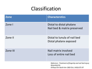 Classification
Zone Characterstics
Zone I Distal to distal phalanx
Nail bed & matrix preserved
Zone II Distal to lunula of nail bed
Distal phalanx exposed
Zone III Nail matrix involved
Loss of entire nail bed
Reference : Treatment of fingertip and nail bed injury
Rosenthal EA
Orthop Clin North Am 1983 Oct; 14(4):675-97
 