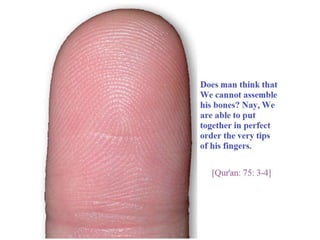 Finger tips