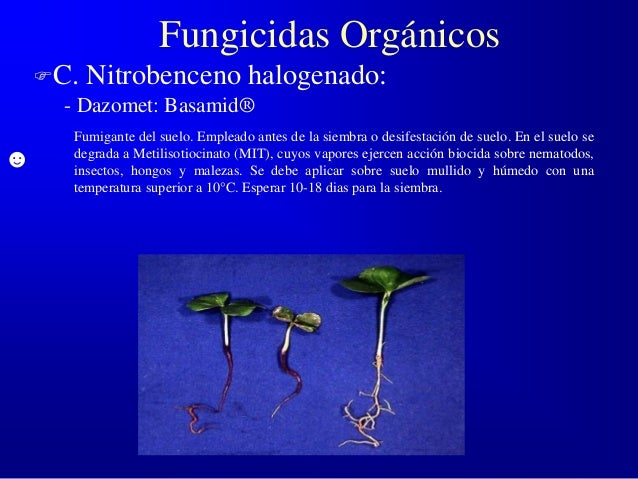 Si es eficaz el tratamiento del hongo de las uñas por el láser