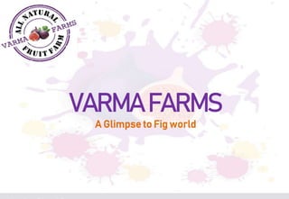 VARMA FARMS
A Glimpse to Fig world
 