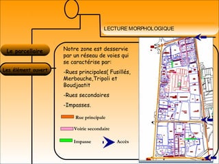 LECTURE MORPHOLOGIQUE
Le parcellaire
Les élément ouvert
Notre zone est desservie
par un réseau de voies qui
se caractérise par:
-Rues principales( Fusillés,
Merbouche,Tripoli et
Boudjaatit
-Rues secondaires
-Impasses.
Voirie secondaire
Accès
Rue principale
Impasse
 