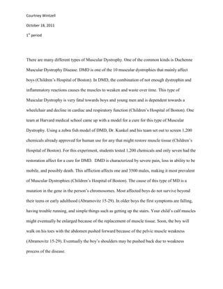 Courtney Wintzell

October 18, 2011

1st period




There are many different types of Muscular Dystrophy. One of the common kinds is Duchenne

Muscular Dystrophy Disease. DMD is one of the 10 muscular dystrophies that mainly affect

boys (Children’s Hospital of Boston). In DMD, the combination of not enough dystrophin and

inflammatory reactions causes the muscles to weaken and waste over time. This type of

Muscular Dystrophy is very fatal towards boys and young men and is dependent towards a

wheelchair and decline in cardiac and respiratory function (Children’s Hospital of Boston). One

team at Harvard medical school came up with a model for a cure for this type of Muscular

Dystrophy. Using a zebra fish model of DMD, Dr. Kunkel and his team set out to screen 1,200

chemicals already approved for human use for any that might restore muscle tissue (Children’s

Hospital of Boston). For this experiment, students tested 1,200 chemicals and only seven had the

restoration affect for a cure for DMD. DMD is characterized by severe pain, loss in ability to be

mobile, and possibly death. This affliction affects one and 3500 males, making it most prevalent

of Muscular Dystrophies (Children’s Hospital of Boston). The cause of this type of MD is a

mutation in the gene in the person’s chromosomes. Most affected boys do not survive beyond

their teens or early adulthood (Abramovitz 15-29). In older boys the first symptoms are falling,

having trouble running, and simple things such as getting up the stairs. Your child’s calf muscles

might eventually be enlarged because of the replacement of muscle tissue. Soon, the boy will

walk on his toes with the abdomen pushed forward because of the pelvic muscle weakness

(Abramovitz 15-29). Eventually the boy’s shoulders may be pushed back due to weakness

process of the disease.
 