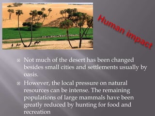    Not much of the desert has been changed
    besides small cities and settlements usually by
    oasis.
   However, the local pressure on natural
    resources can be intense. The remaining
    populations of large mammals have been
    greatly reduced by hunting for food and
    recreation
 