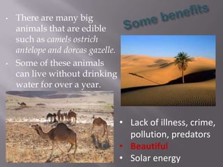 •   There are many big
    animals that are edible
    such as camels ostrich
    antelope and dorcas gazelle.
•   Some of these animals
    can live without drinking
    water for over a year.



                                   • Lack of illness, crime,
                                     pollution, predators
                                   • Beautiful
                                   • Solar energy
 