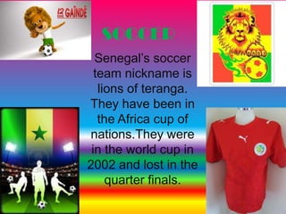 SOCCER
  Senegal’s soccer
  team nickname is
   lions of teranga.
They have been in
   the Africa cup of
nations.They were
 in the world cup in
2002 and lost in the
     quarter finals.
 