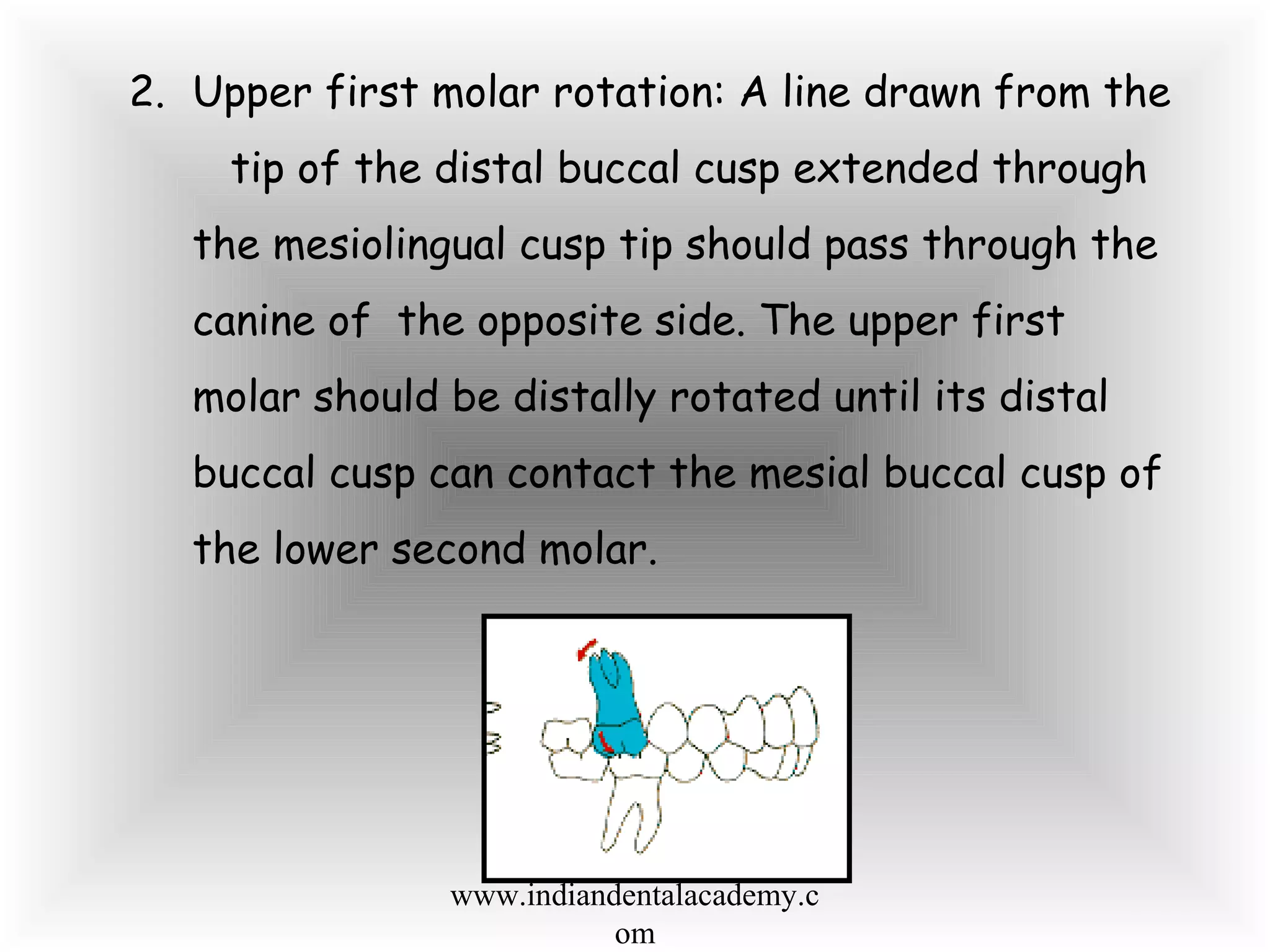 2. Upper first molar rotation: A line drawn from the
tip of the distal buccal cusp extended through
the mesiolingual cusp tip should pass through the
canine of the opposite side. The upper first
molar should be distally rotated until its distal
buccal cusp can contact the mesial buccal cusp of
the lower second molar.
www.indiandentalacademy.c
om
 