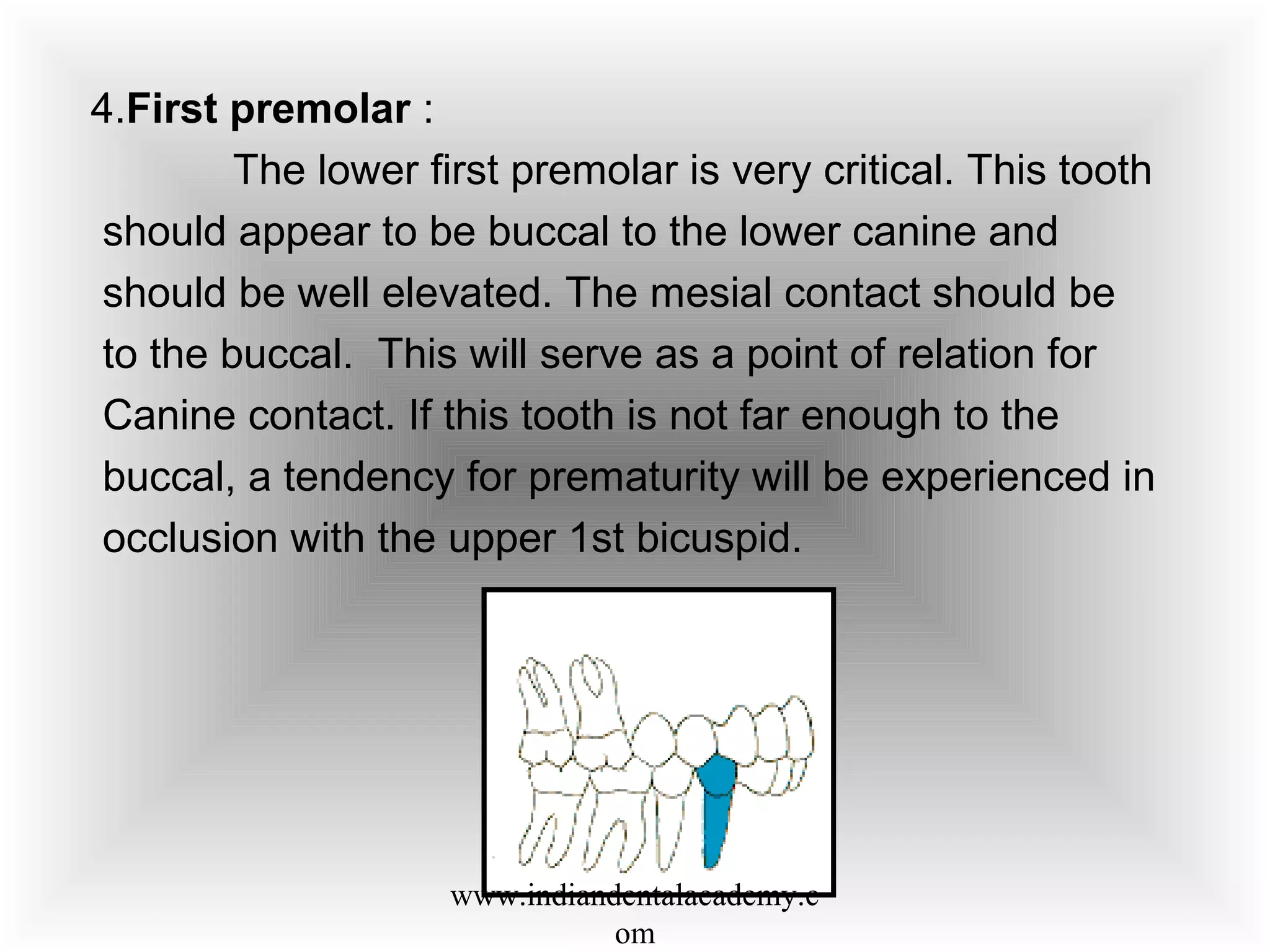 4.First premolar :
The lower first premolar is very critical. This tooth
should appear to be buccal to the lower canine and
should be well elevated. The mesial contact should be
to the buccal. This will serve as a point of relation for
Canine contact. If this tooth is not far enough to the
buccal, a tendency for prematurity will be experienced in
occlusion with the upper 1st bicuspid.
www.indiandentalacademy.c
om
 