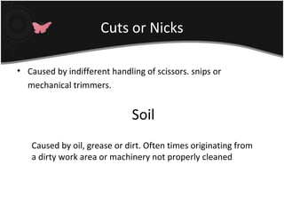 Nicks Defect Finishing defects | PPT