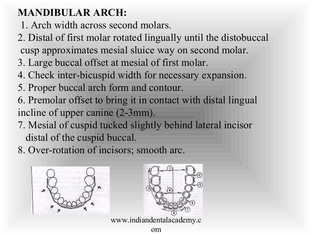 Finishing & detailing in orthodontics / fixed orthodontics course