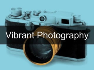 Vibrant Photography
 