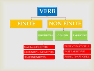 finite and non finite verbs
