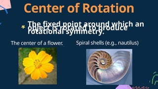 Rotational Shells Finite Math and introduction to mathematics in nature.pptx