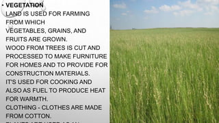 • VEGETATION
LAND IS USED FOR FARMING
FROM WHICH
VEGETABLES, GRAINS, AND
FRUITS ARE GROWN.
WOOD FROM TREES IS CUT AND
PROCESSED TO MAKE FURNITURE
FOR HOMES AND TO PROVIDE FOR
CONSTRUCTION MATERIALS.
IT'S USED FOR COOKING AND
ALSO AS FUEL TO PRODUCE HEAT
FOR WARMTH.
CLOTHING - CLOTHES ARE MADE
FROM COTTON.

 