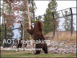 AOT,Treeshaking
reducing the bundle size
 