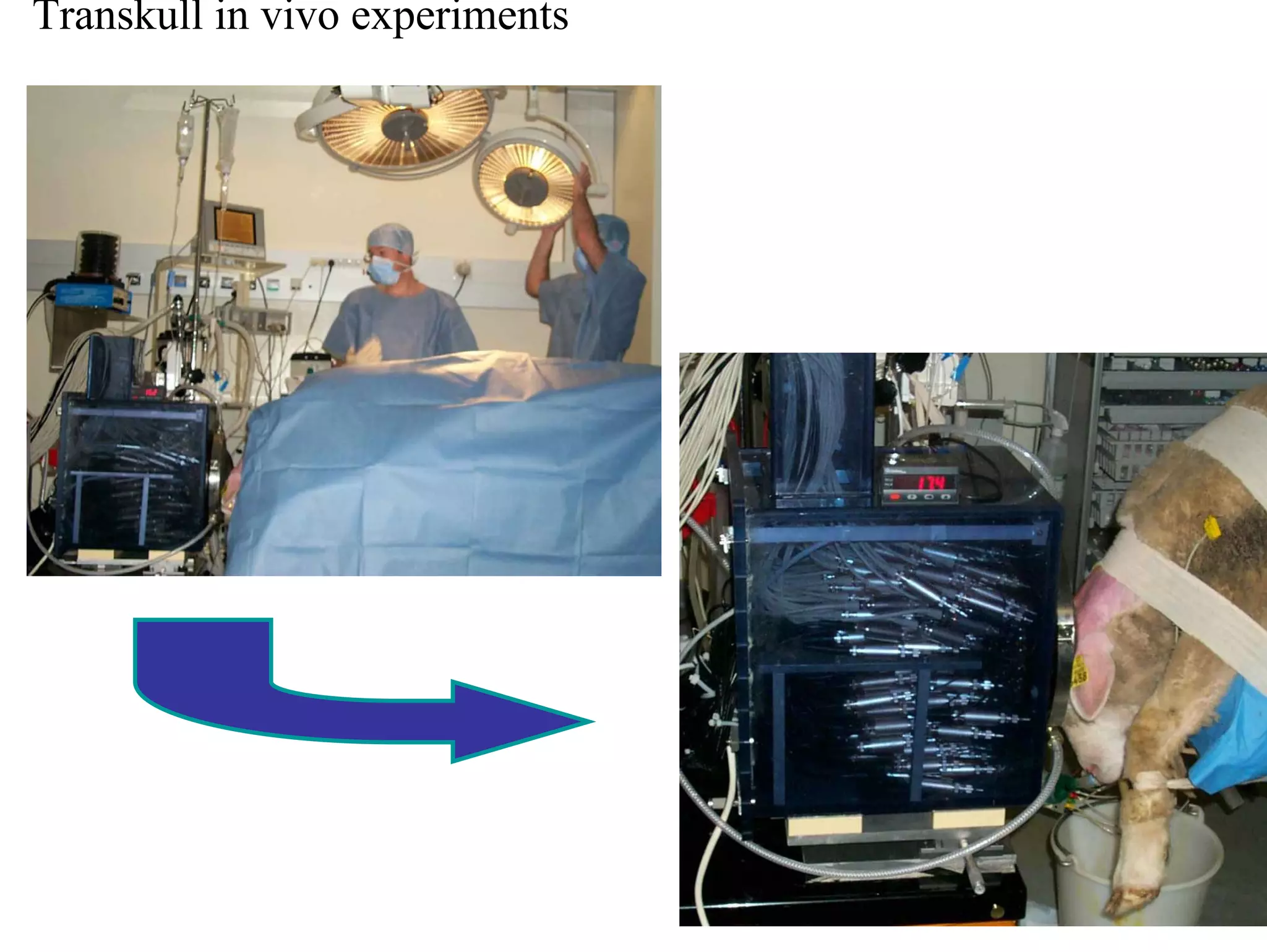 Transkull in vivo experiments

 