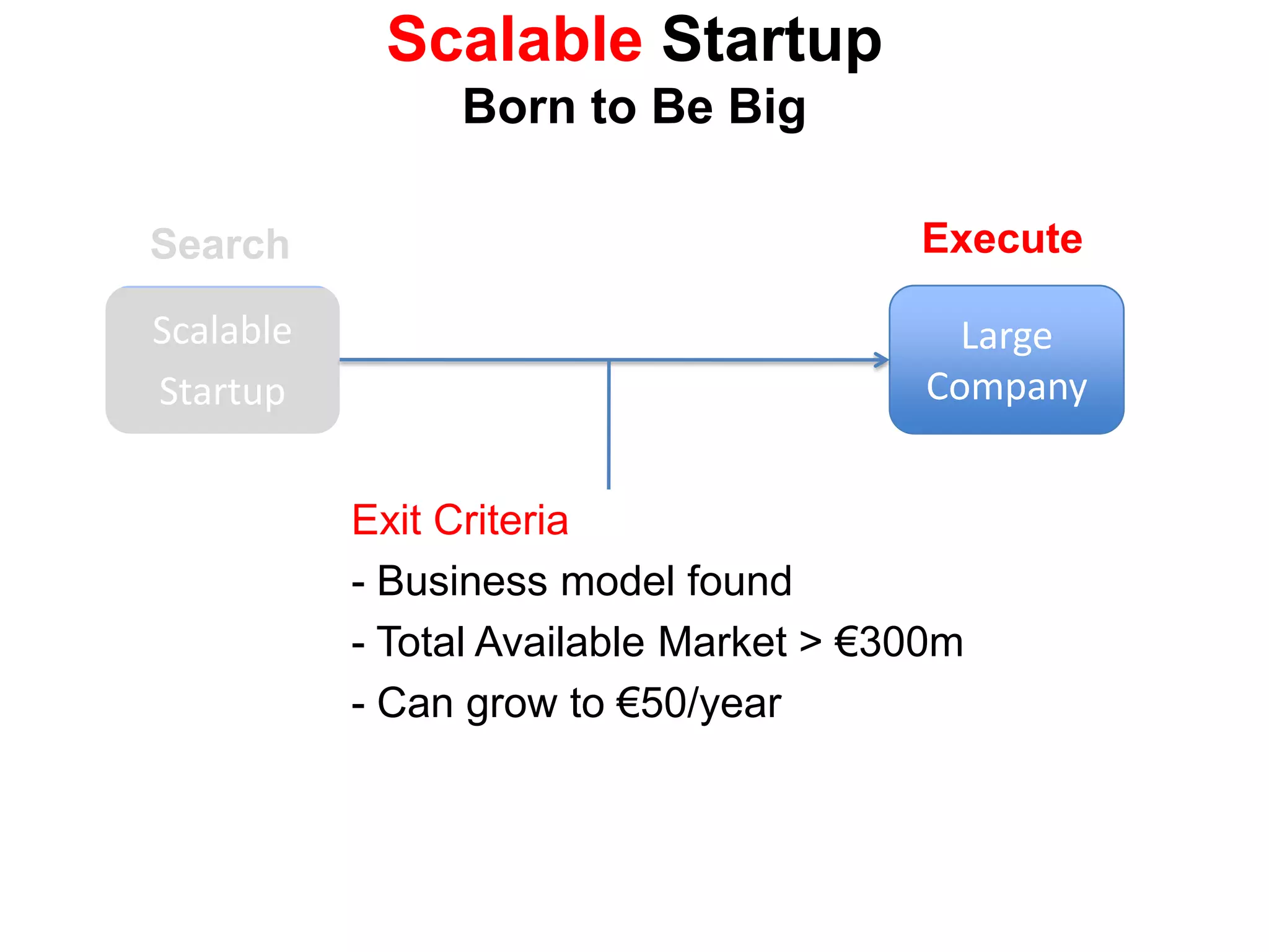 ExecuteSearchScalableStartupLarge CompanyExit Criteria Business model found