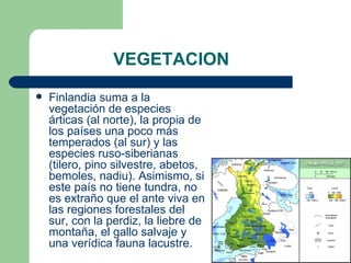 VEGETACION
   Finlandia suma a la 
    vegetación de especies 
    árticas (al norte), la propia de 
    los países una poco más 
    temperados (al sur) y las 
    especies ruso-siberianas 
    (tilero, pino silvestre, abetos, 
    bemoles, nadiu). Asimismo, si 
    este país no tiene tundra, no 
    es extraño que el ante viva en 
    las regiones forestales del 
    sur, con la perdiz, la liebre de 
    montaña, el gallo salvaje y 
    una verídica fauna lacustre. 
 