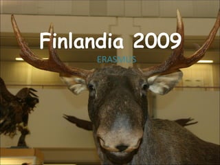 Finlandia 2009 ERASMUS 