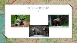 BIODIVERSIDAD
10
 