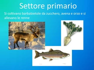 Settore primario
Si coltivano barbabietole da zucchero, avena e orzo e si
allevano le renne

 