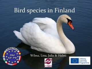 Bird species in Finland
Wilma, Lina, Julia & Helmi
 