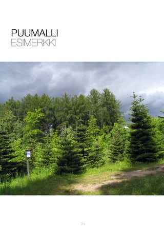 PUUMALLI
ESIMERKKI

24

 