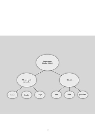 Arboretum:
Pihdat (Abies)

Yleiset ominaisuudet

runko

lehdet

Käyttö

puu

kävyt

25

saha

puutarha

 