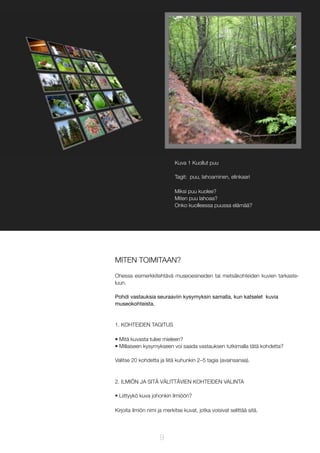 Kuva 1 Kuollut puu
Tagit: puu, lahoaminen, elinkaari
Miksi puu kuolee?
Miten puu lahoaa?
Onko kuolleessa puussa elämää?

999

MITEN TOIMITAAN?
Ohessa esimerkkitehtävä museoesineiden tai metsäkohteiden kuvien tarkasteluun.
Pohdi vastauksia seuraaviin kysymyksin samalla, kun katselet kuvia
museokohteista.

1. KOHTEIDEN TAGITUS
• Mitä kuvasta tulee mieleen?
• Millaiseen kysymykseen voi saada vastauksen tutkimalla tätä kohdetta?
Valitse 20 kohdetta ja liitä kuhunkin 2–5 tagia (avainsanaa).

2. ILMIÖN JA SITÄ VÄLITTÄVIEN KOHTEIDEN VALINTA
• Liittyykö kuva johonkin ilmiöön?
Kirjoita ilmiön nimi ja merkitse kuvat, jotka voisivat selittää sitä.

9

 
