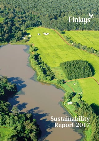 Section Title
1
Sustainability
Report 2017
 
