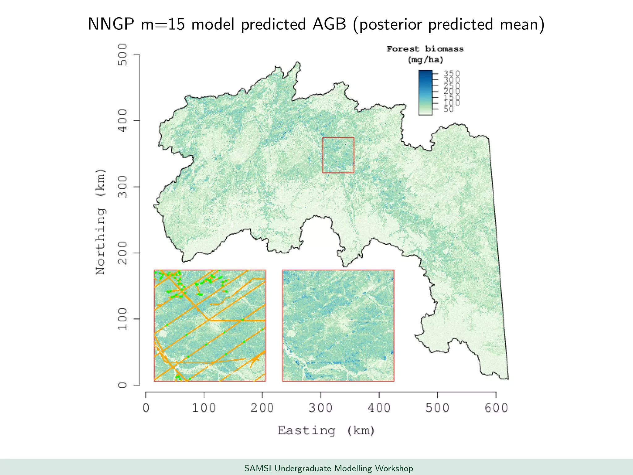 NNGP m=15 model predicted AGB (posterior predicted mean)
SAMSI Undergraduate Modelling Workshop
 