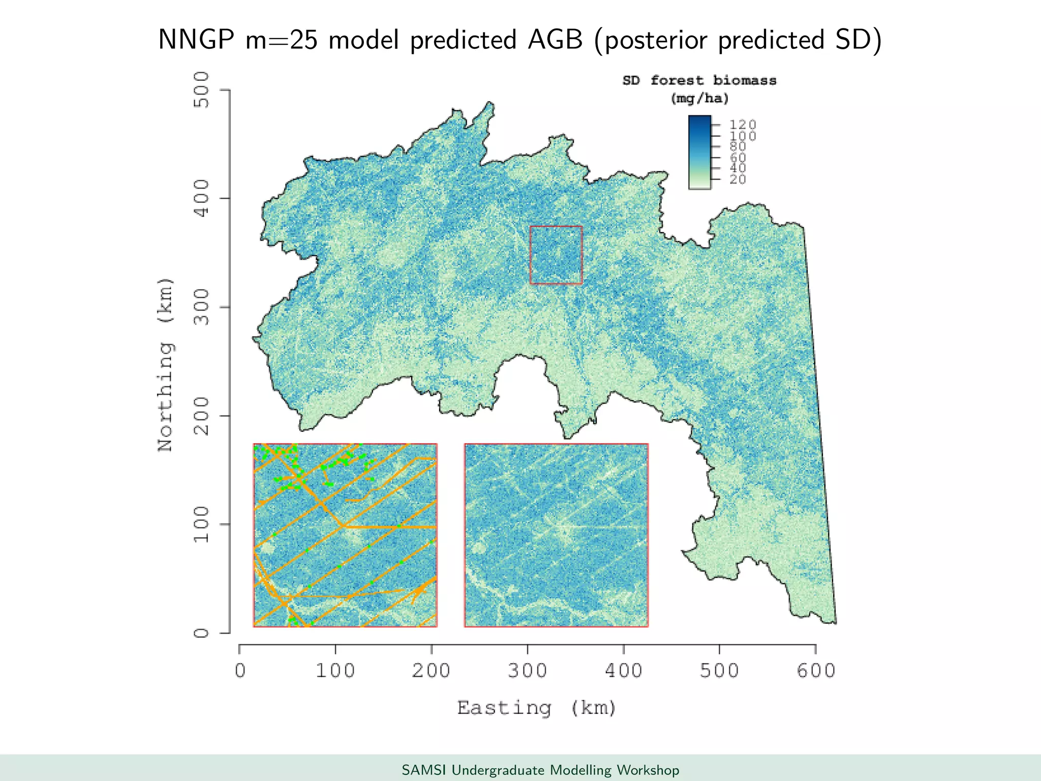 NNGP m=25 model predicted AGB (posterior predicted SD)
SAMSI Undergraduate Modelling Workshop
 