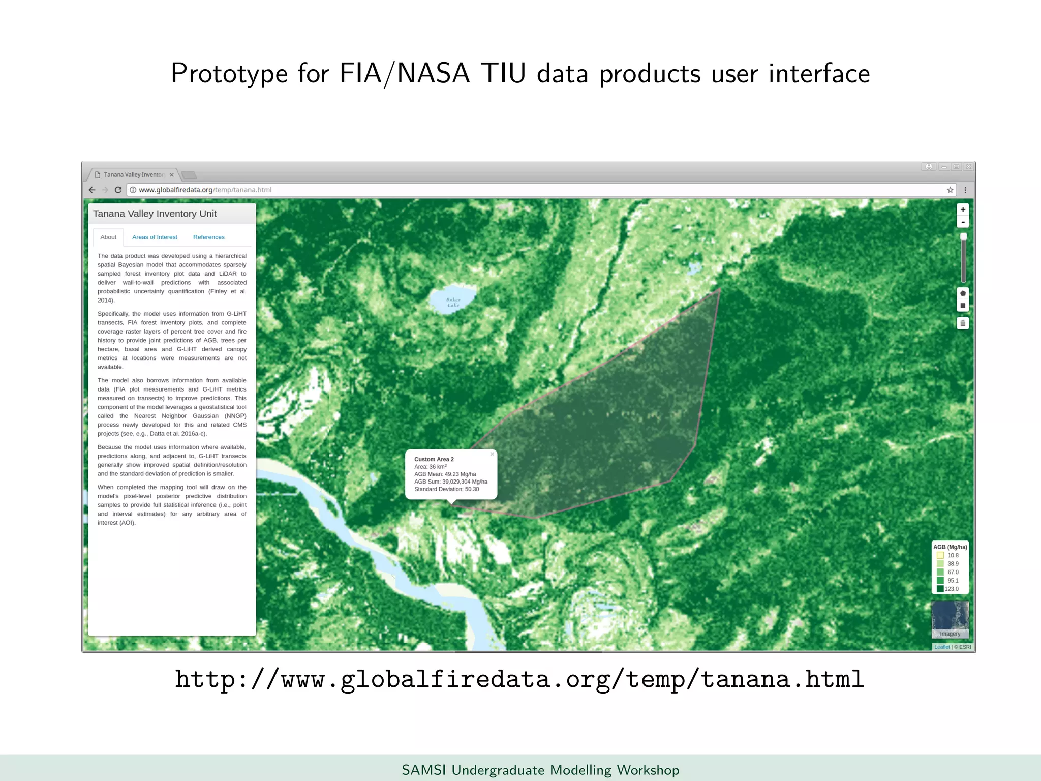 Prototype for FIA/NASA TIU data products user interface
http://www.globalfiredata.org/temp/tanana.html
SAMSI Undergraduate Modelling Workshop
 