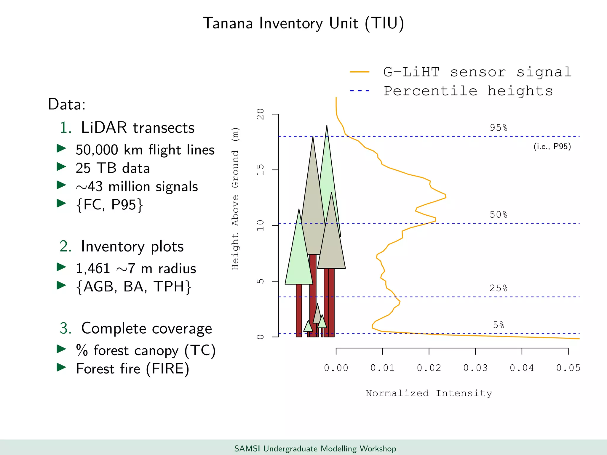 Tanana Inventory Unit (TIU)
Data:
1. LiDAR transects
50,000 km ﬂight lines
25 TB data
∼43 million signals
{FC, P95}
2. Inventory plots
1,461 ∼7 m radius
{AGB, BA, TPH}
3. Complete coverage
% forest canopy (TC)
Forest ﬁre (FIRE)
Normalized Intensity
HeightAboveGround(m)
0.00 0.01 0.02 0.03 0.04 0.05
05101520
5%
25%
50%
95%
G−LiHT sensor signal
Percentile heights
(i.e., P95)
SAMSI Undergraduate Modelling Workshop
 