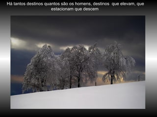 Há tantos destinos quantos são os homens, destinos  que elevam, que estacionam que descem  