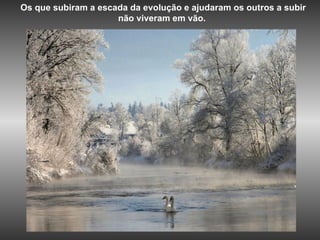 Os que subiram a escada da evolução e ajudaram os outros a subir não viveram em vão.  