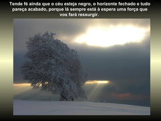 Tende fé ainda que o céu esteja negro, o horizonte fechado e tudo pareça acabado, porque lá sempre está à espera uma força que vos fará ressurgir.  